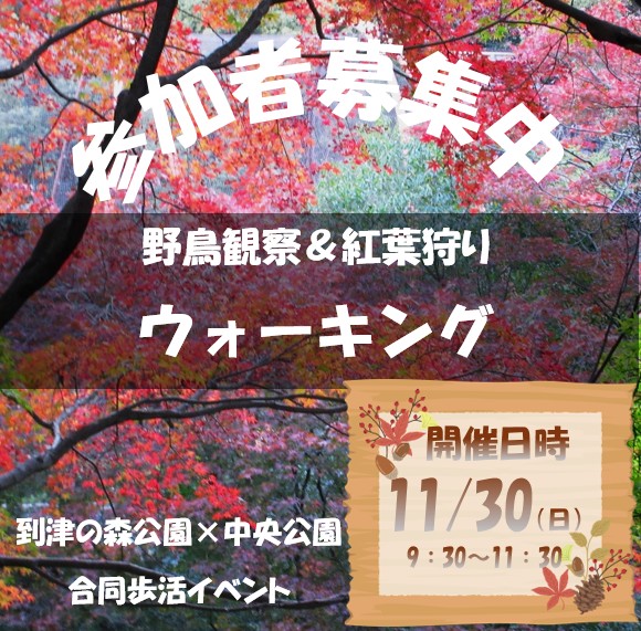itozu_zoo's tweet image. ＼📣開催間近❣️／
紅葉真っ盛りなコースを野鳥観察や季節の植栽を楽しみながら歩いてみませんか？今週日曜日はみんなで #歩活 !!
#到津の森公園 ＃福岡県営中央公園  

↓↓↓ 予約受付中 （参加費300円）↓↓↓
itozu-zoo.jp/event/2025/11/…