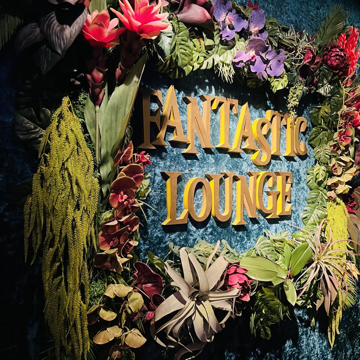 明日11/27の夜は『木曜日のSHOW CASE』出演。わたくしは弾き語りでうたいますー！気軽に飲みながらショーを楽しめるイベントです。場所は歌舞伎町ファンタスティックラウンジ。とても素敵なお店なのでぜひふらりとお越しください！21時ショースタート