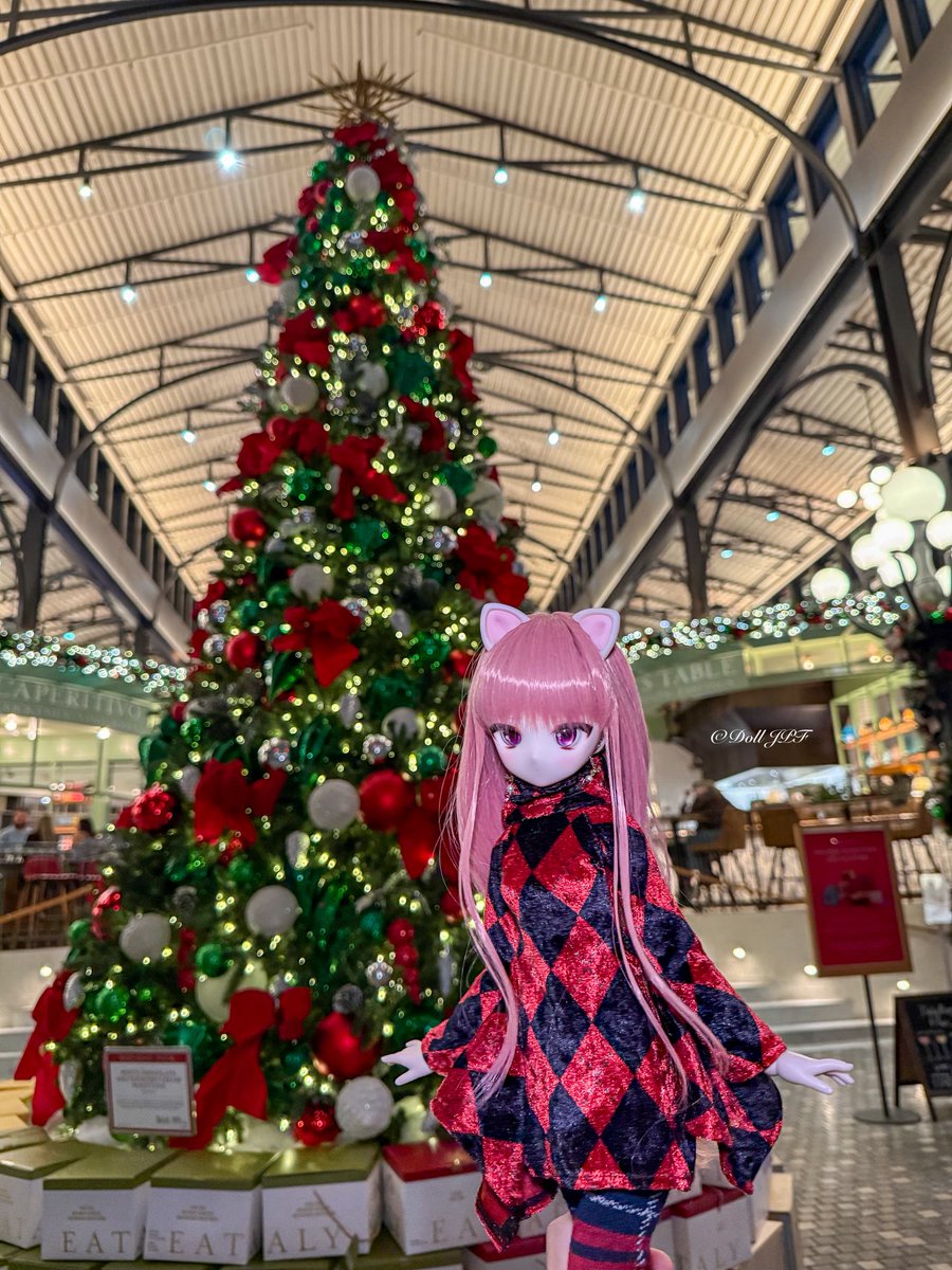 AndroidPDF's tweet image. 瀬菜ちゃん: 🎄✨にゃ💕ヾ(Φ∀Φ)/

Sena-chan: 🎄✨nya💕 ヾ(Φ∀Φ)/

#kikonchi #とかっこ #mdd瀬菜 #mddはいいぞ #dolljpf