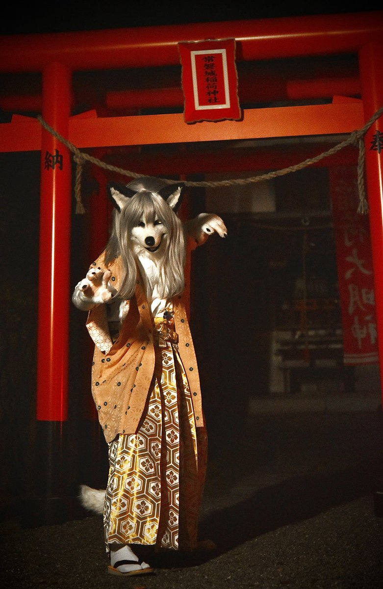 Ohayashi style🤍🦊👘⛩️
#こいと写真館
#こいとっと