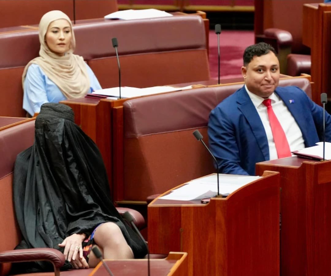 senatorbabet's tweet image. Just another day in the Australian Senate. 🫨🤣