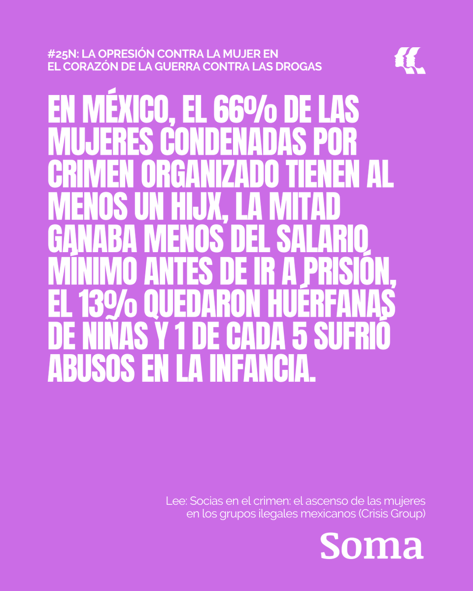 Proyecto Soma tweet media