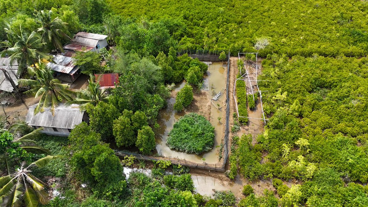 pramukarek.or.id/index/pramuka-…