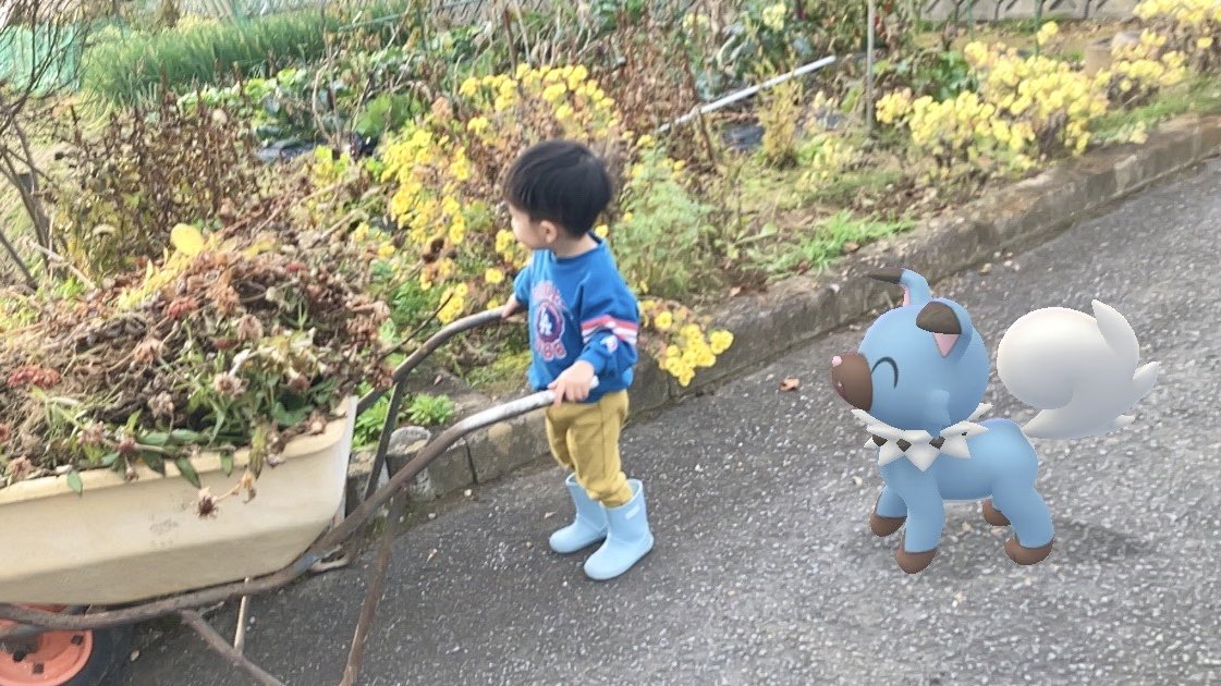 がめー★AR＠北みやぎ南いわて tweet media