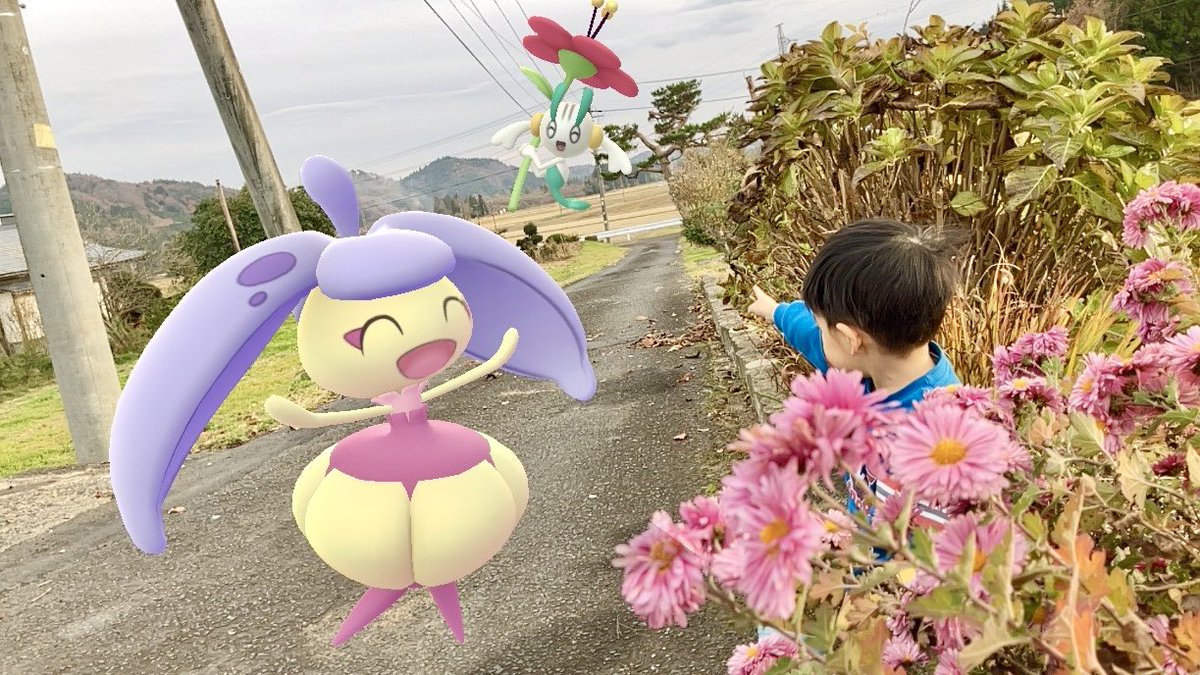 がめー★AR＠北みやぎ南いわて tweet media