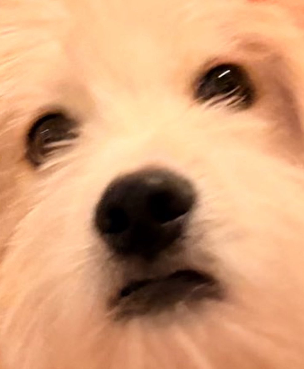 아아앜!!!! 이모가 사랑해 로비니!!!