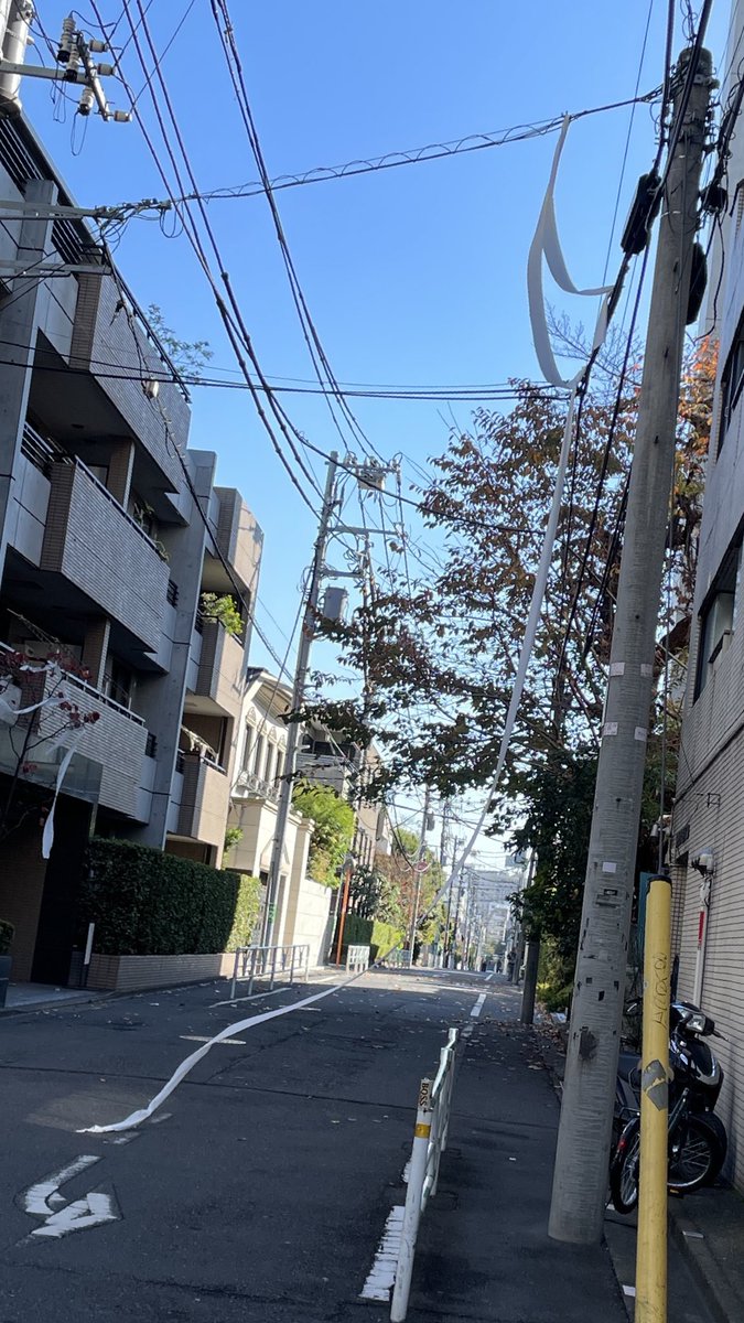 かとりーぬ☆ (@katori______nu) / Posts / X