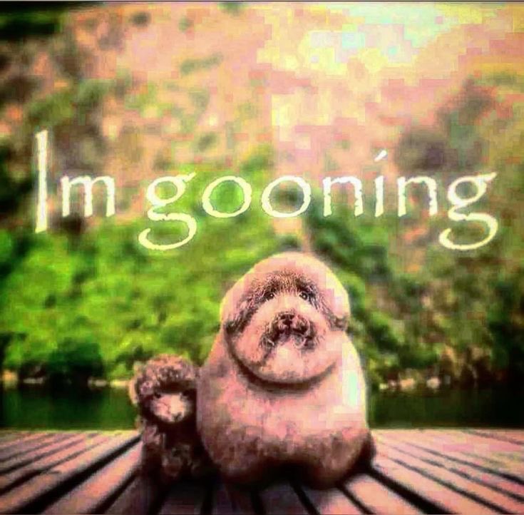 marie (@marieaufschnee) on Twitter photo 