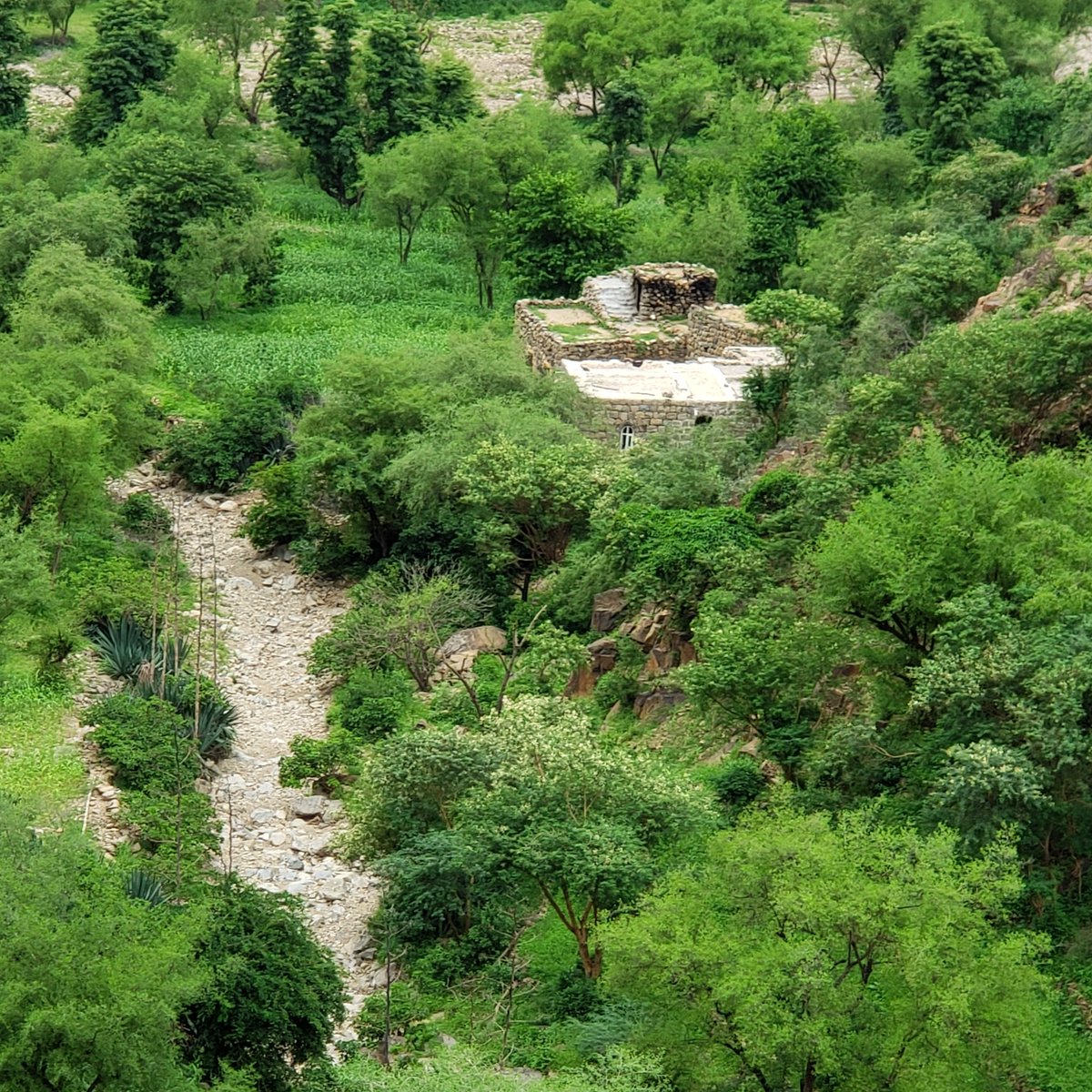 #صورة_ملف_شخصي_جديدة