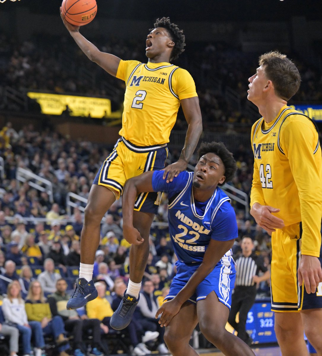 College Hoops Database tweet media