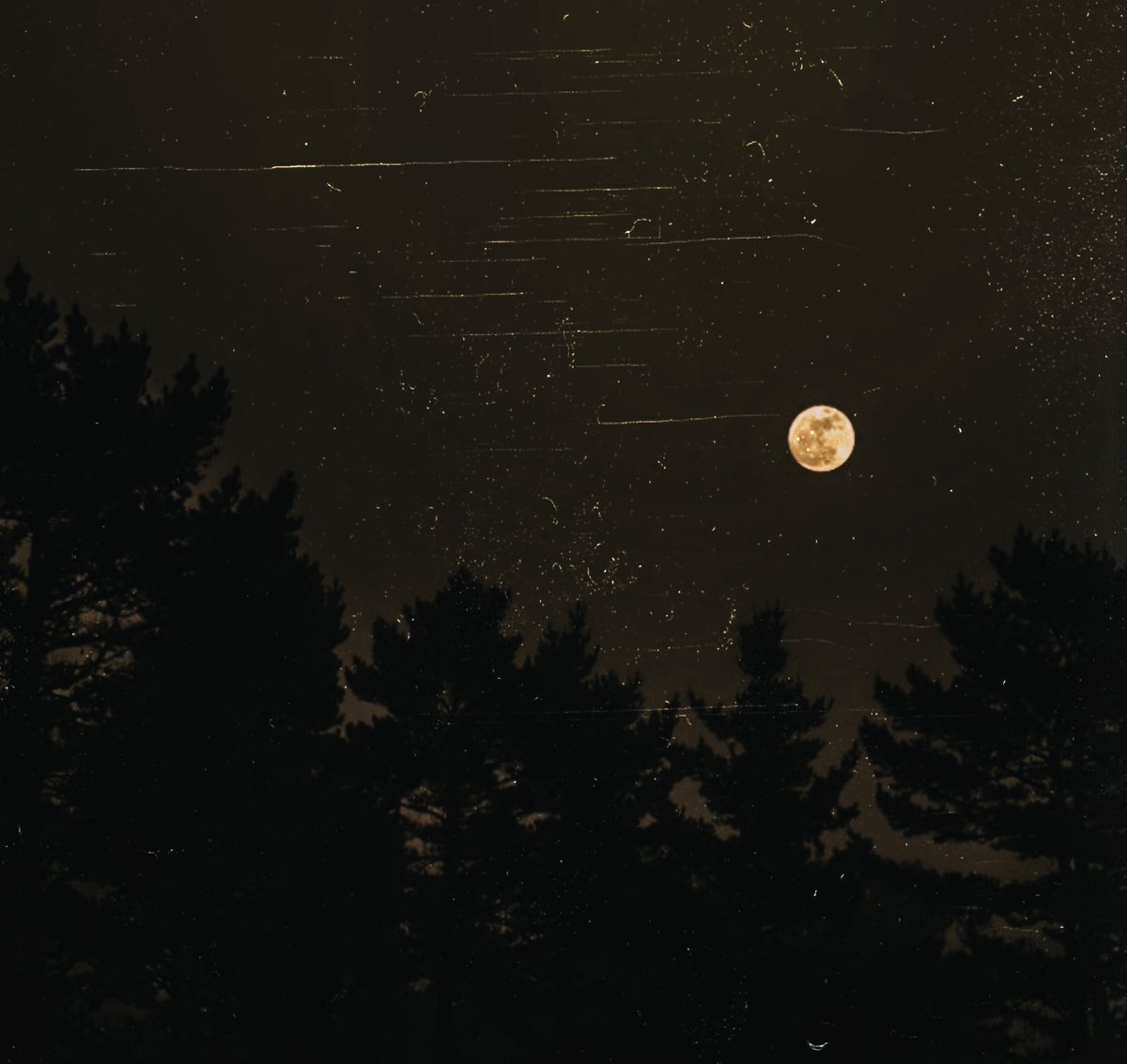 “I said to my soul, be still, and wait; so the darkness shall be the light, and the stillness the dancing."
       — T.S. Eliot