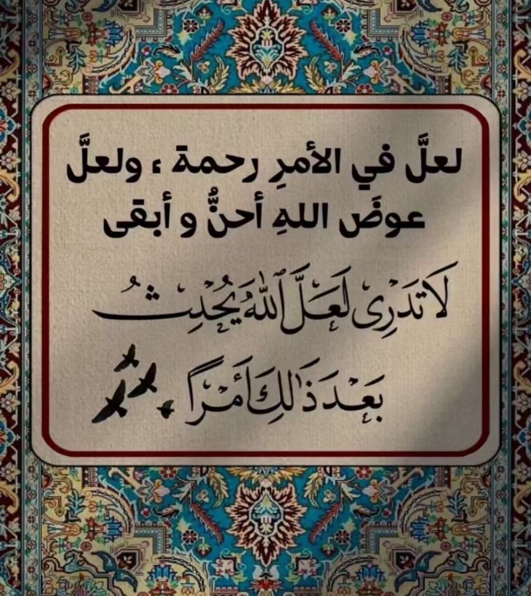 M_Alqahtani🕊️ tweet media