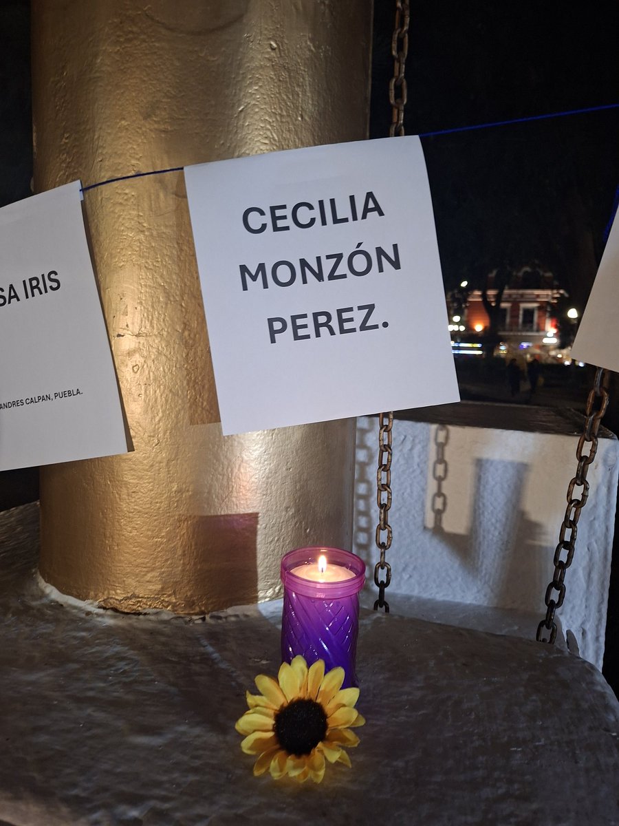 Hoy #25N aquí sigue tu manada exigiendo justicia #CeciliaMonzón. 
#JusticiaParaCeciliaMonzón 🌻