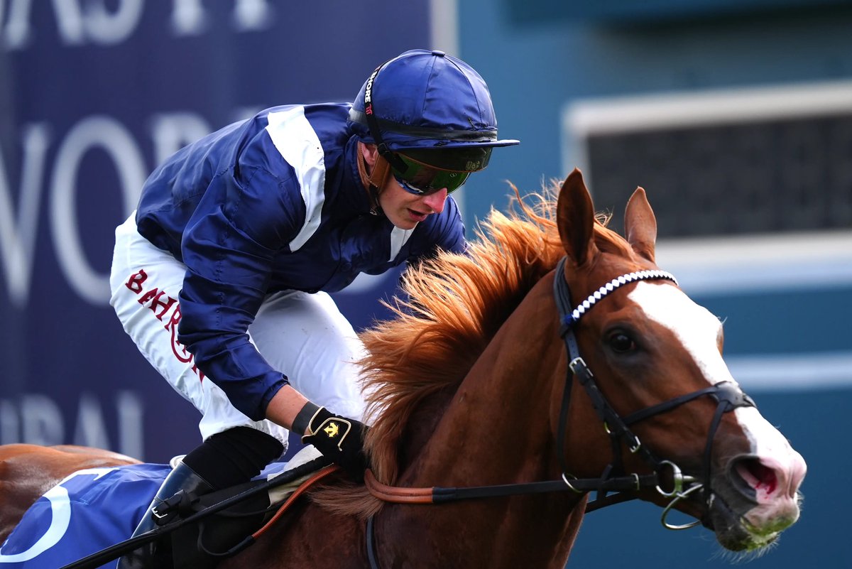 Indiarace.com tweet media