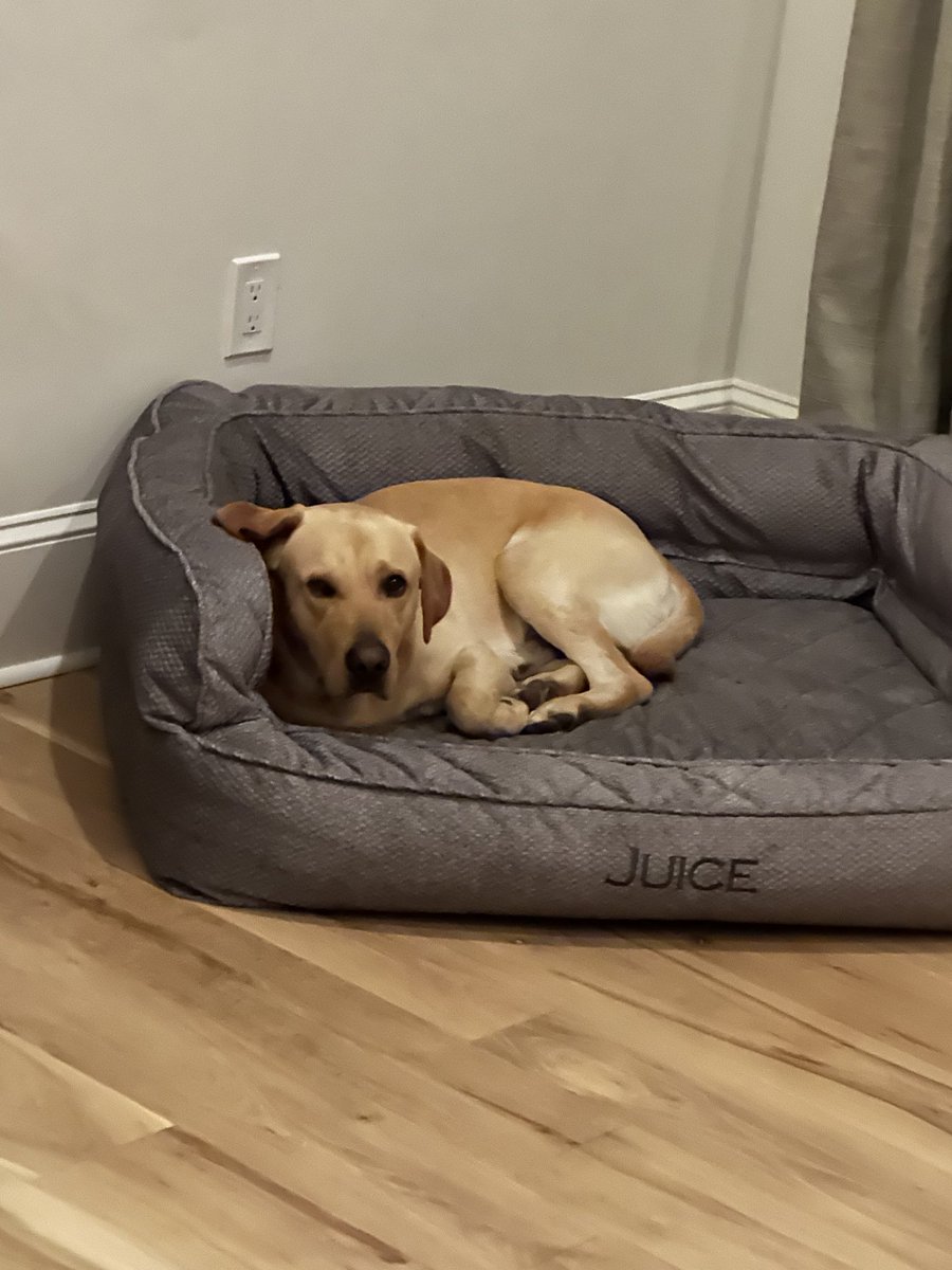 ⁦<a href="/JuiceKiffin/">Juice Kiffin</a>⁩ ❤️💙🇹🇹