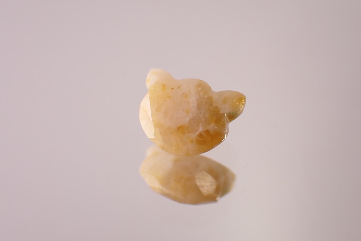 differencee31's tweet image. 猫カットのフォッシルコーラル🐾

プロフィール欄のショップページURLからご確認ください🙇