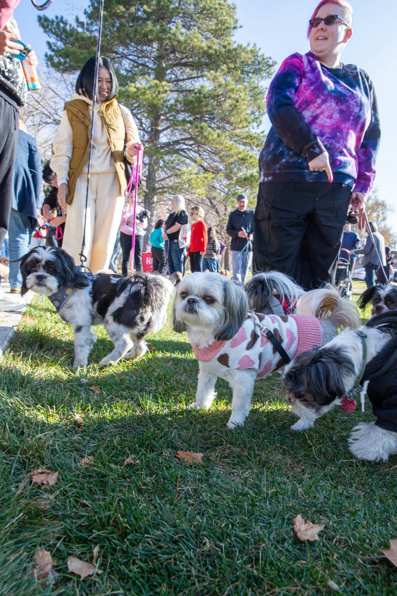 sidifers's tweet image. Salt Lake City annual should to meet up brought to you by myself. It feels so proud of myself for creating this event having so many people show up and support me.