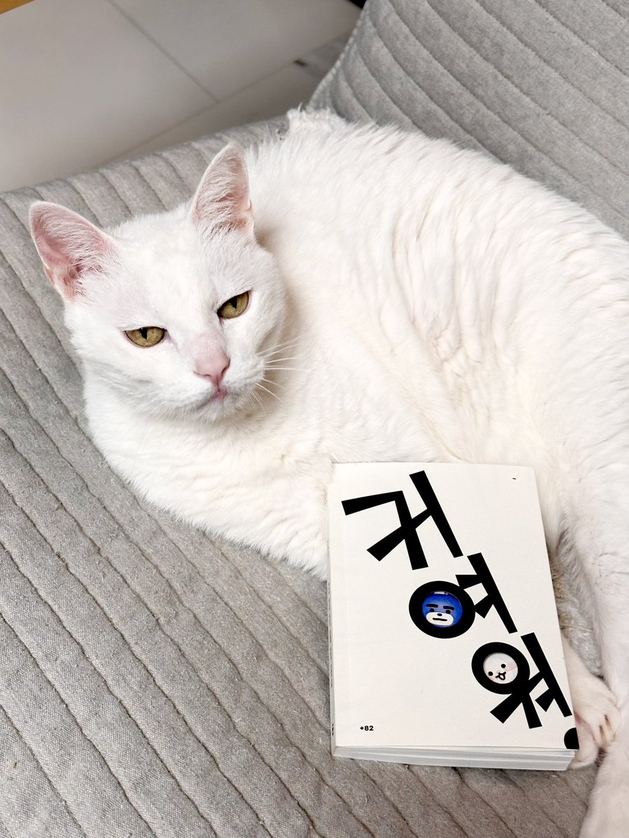cxxt's tweet photo. 책도 사고 신청도 해라 당장 (동물 친구들 괴롭힌거 아니에요…) https://t.co/x3AxdxgbDe