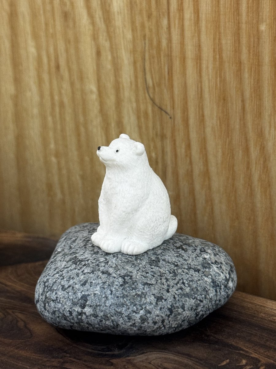 곰이 멍때리는 귀여운 카페 ㅋㅋㅋ