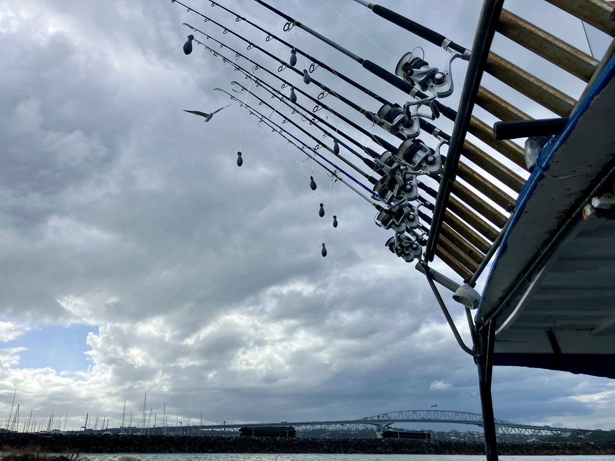 靑空 tweet media