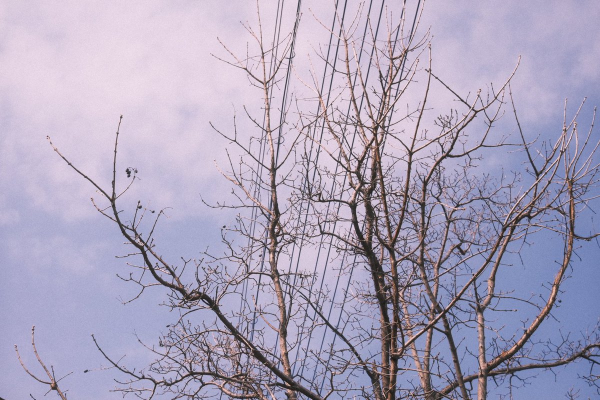 J (@yjwander) on Twitter photo 