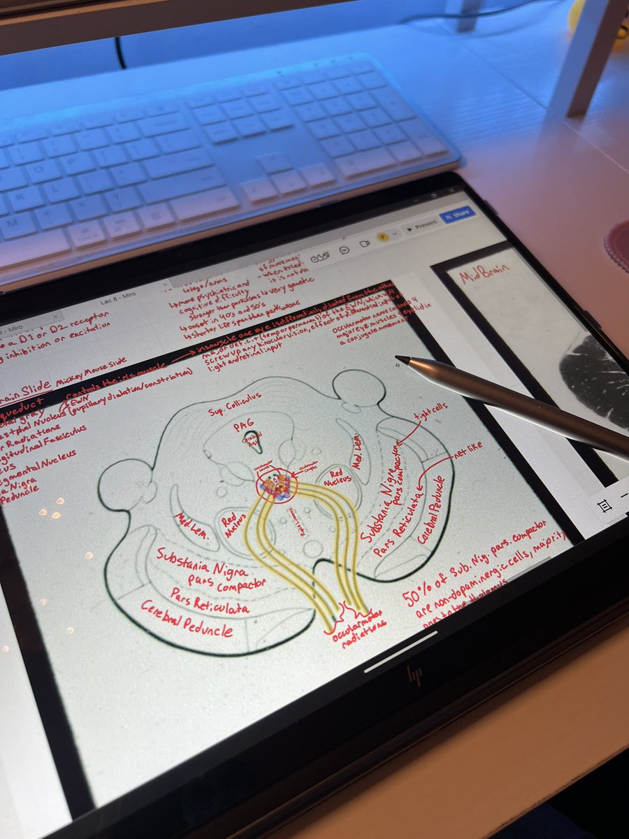 freya02_'s tweet image. study log 11/25🍂
went over some notes, i wanted to do more but i got distracted catching up on fairy tail 100yq T_T