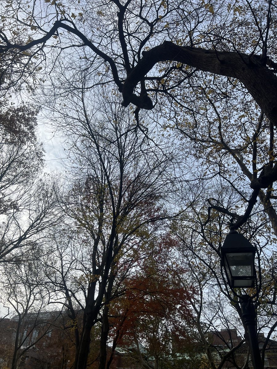 freya02_'s tweet image. study log 11/25🍂
went over some notes, i wanted to do more but i got distracted catching up on fairy tail 100yq T_T