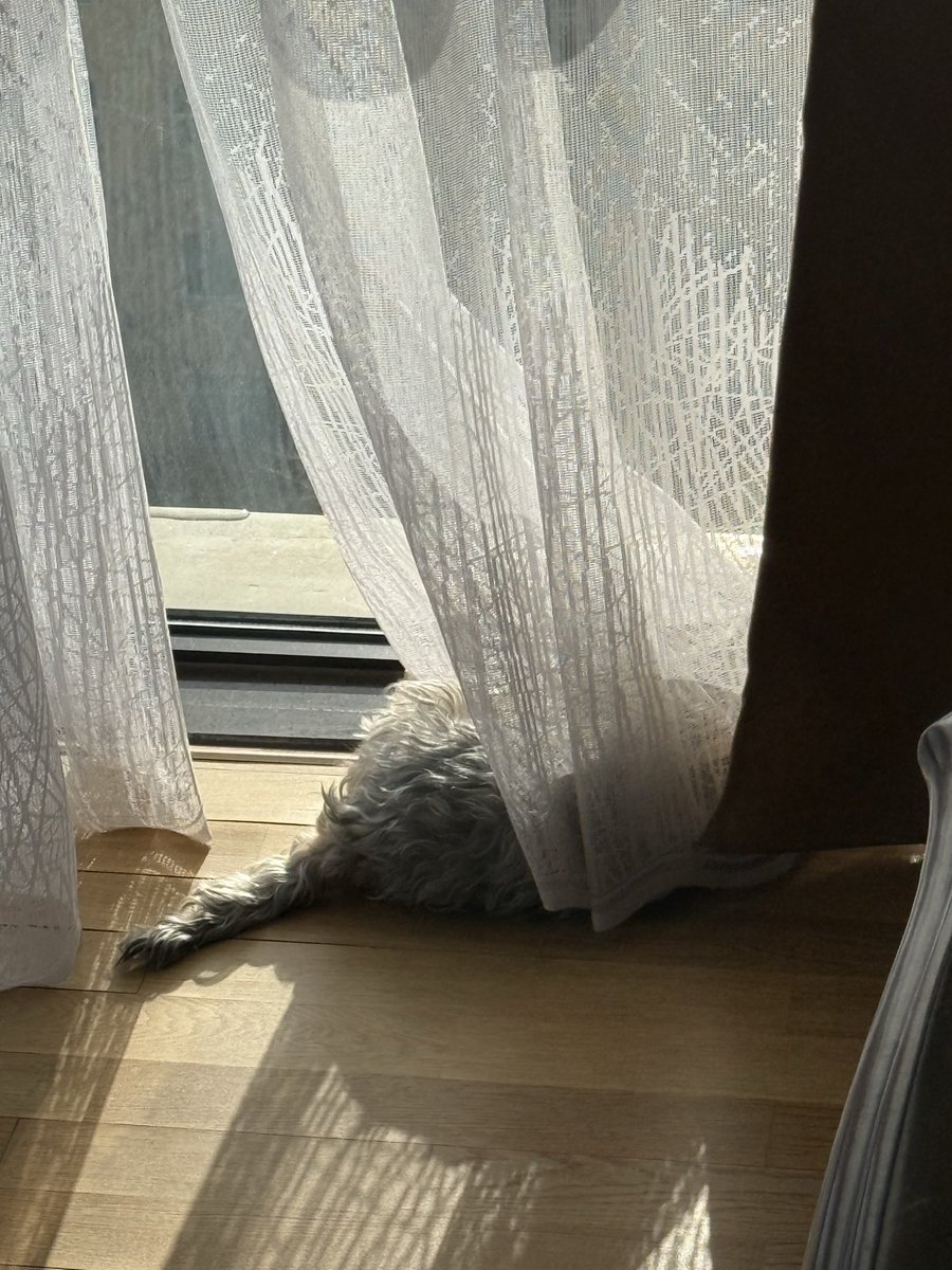 Ийм хөөрхөн. Жижигхэн амьтан маань наранд хэвтэж D витаминаа авч байна 😍.