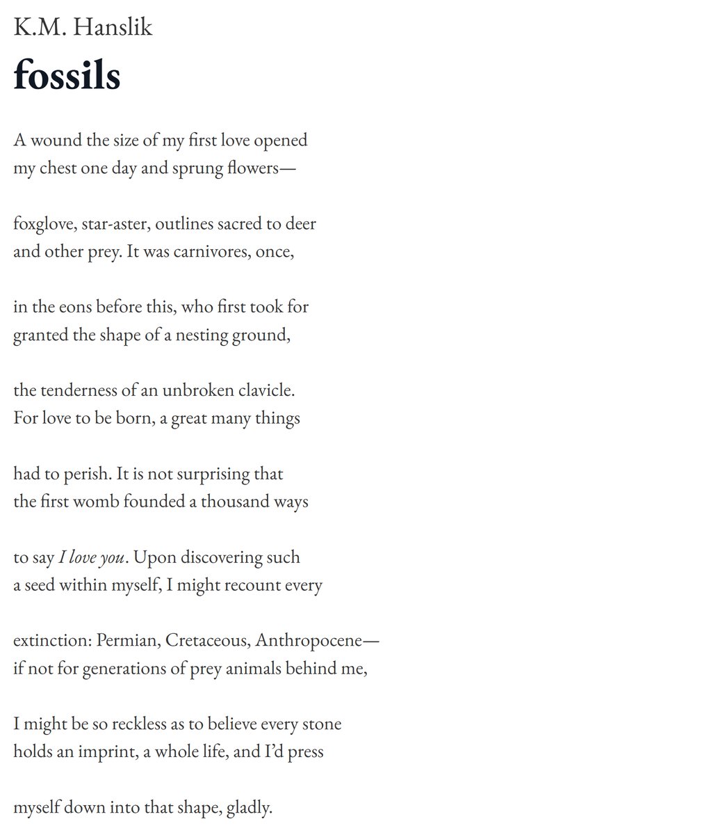 dishsoapquart's tweet image. Lovely piece that scopes absolutely wonderfully across time + space up for y&apos;all this week. Enjoy &quot;fossils&quot; from K.M. Hanslik

Read it on our site: dishsoap-quarterly.com/11-25-25
