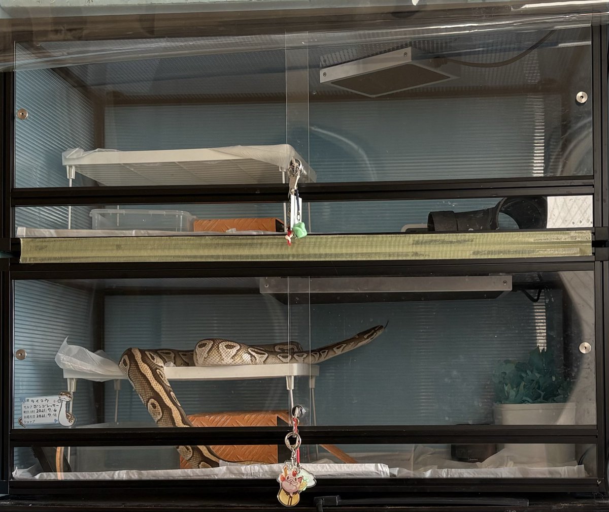 AnimalSHOPきなと・きなとのケージ屋さんおかげさまで10周年