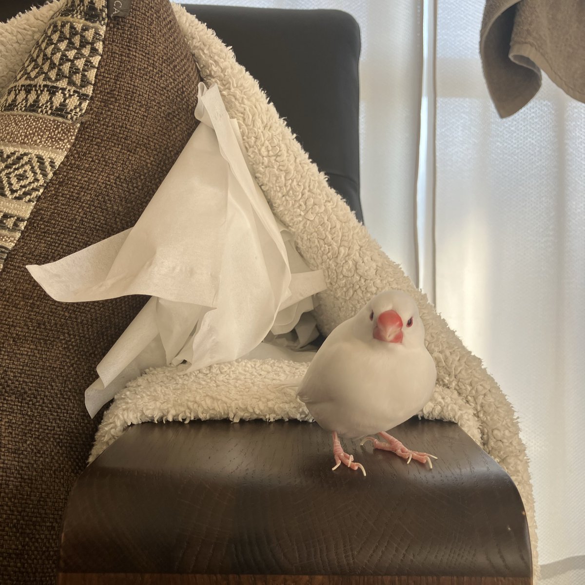 今日も元気☺︎