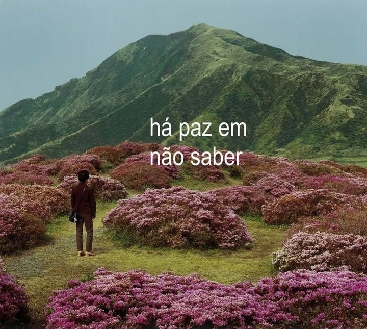 oudecepcoes's tweet image. 