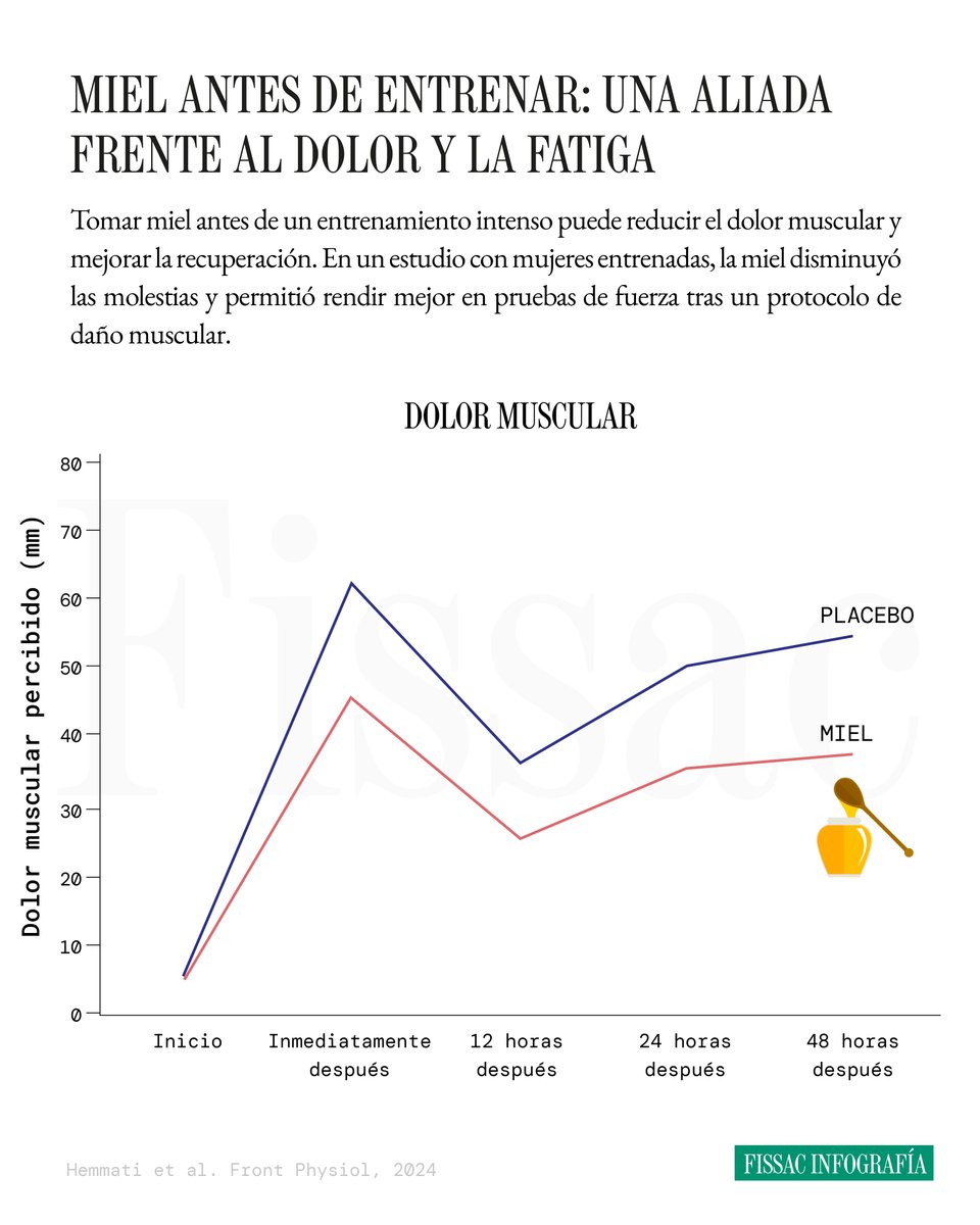 🍯 Miel antes de entrenar: menos dolor y mejor recuperación

La miel, un producto ligado a la medicina tradicional por sus múltiples beneficios, ha llegado también al terreno del rendimiento.

Pero ¿puede un alimento “de nuestra despensa” competir con los geles y bebidas
