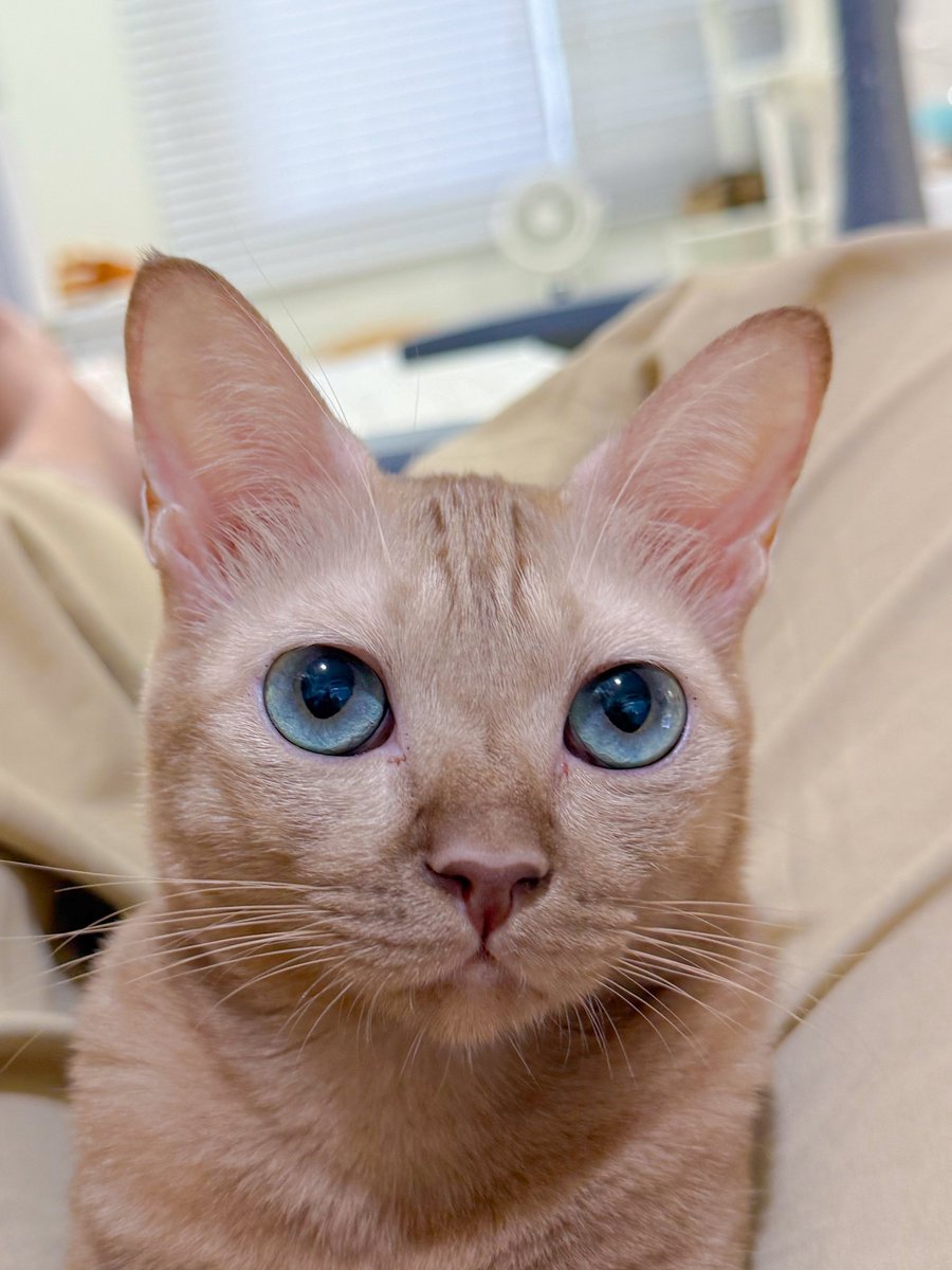 _DNVP2_'s tweet image. ยัยเมล