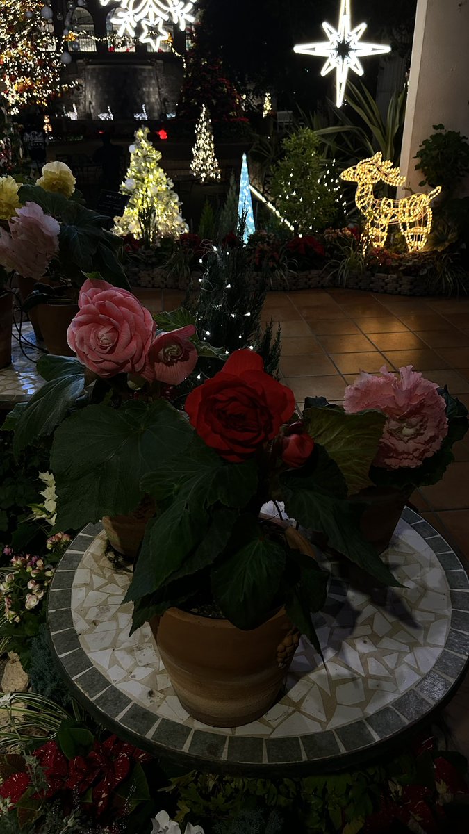 m____k____8's tweet image. *.❅·🧣⋆·˚ ༘ 🧤*.❅·🧣⋆·˚ ༘ 🧤*.❅