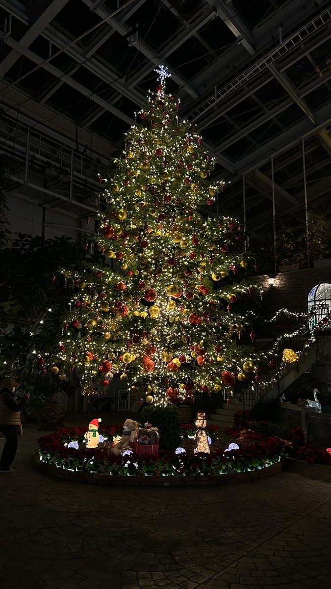 m____k____8's tweet image. *.❅·🧣⋆·˚ ༘ 🧤*.❅·🧣⋆·˚ ༘ 🧤*.❅