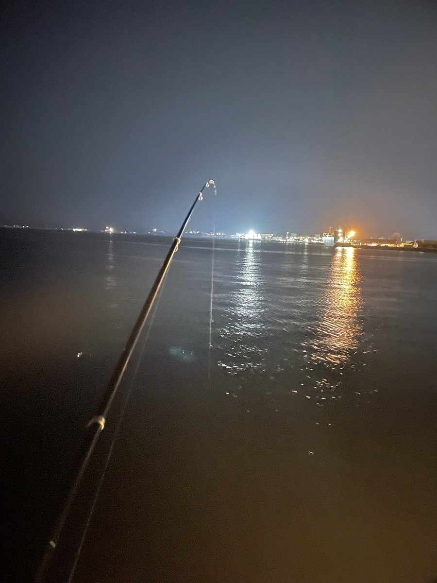 釣りの時間！！！