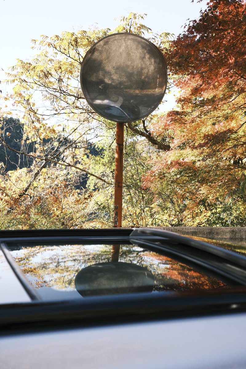 tk_BH5_1JZ's tweet image. サンルーフと紅葉🍁

📸@boya_photo