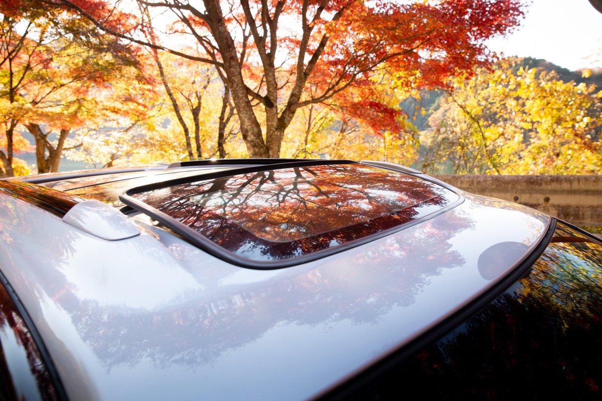 tk_BH5_1JZ's tweet image. サンルーフと紅葉🍁

📸@boya_photo