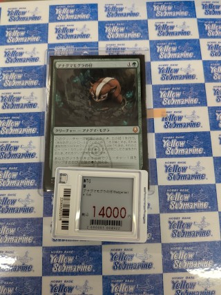 アナグマモグラの仔 日本語1枚 ラスト一枚【新品未使用】アナグマ