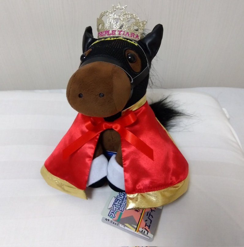 2年前、Mサイズしか規格がなく、Sサイズよりも高い為、躊躇して買え