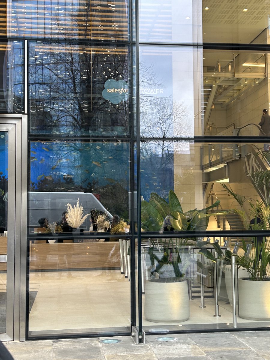 Mim Watson tweet media