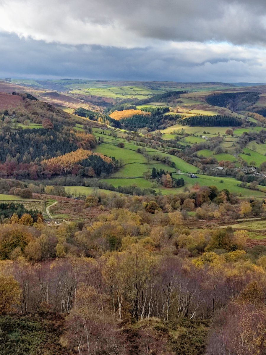 Nadav Amdursky tweet media