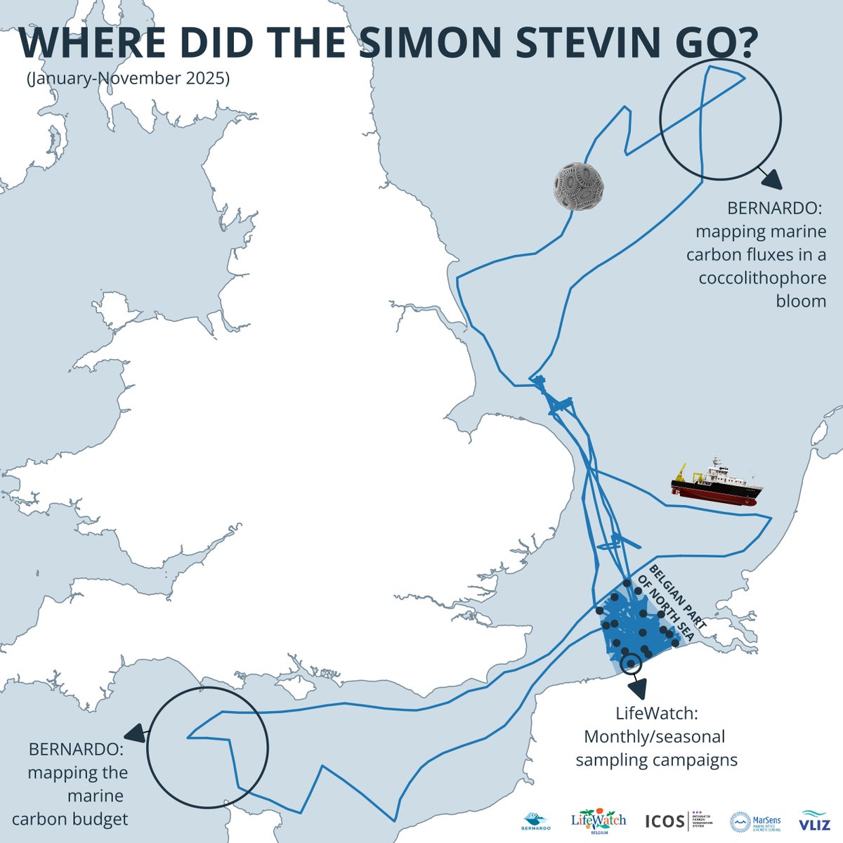 Britt Lonneville tweet media