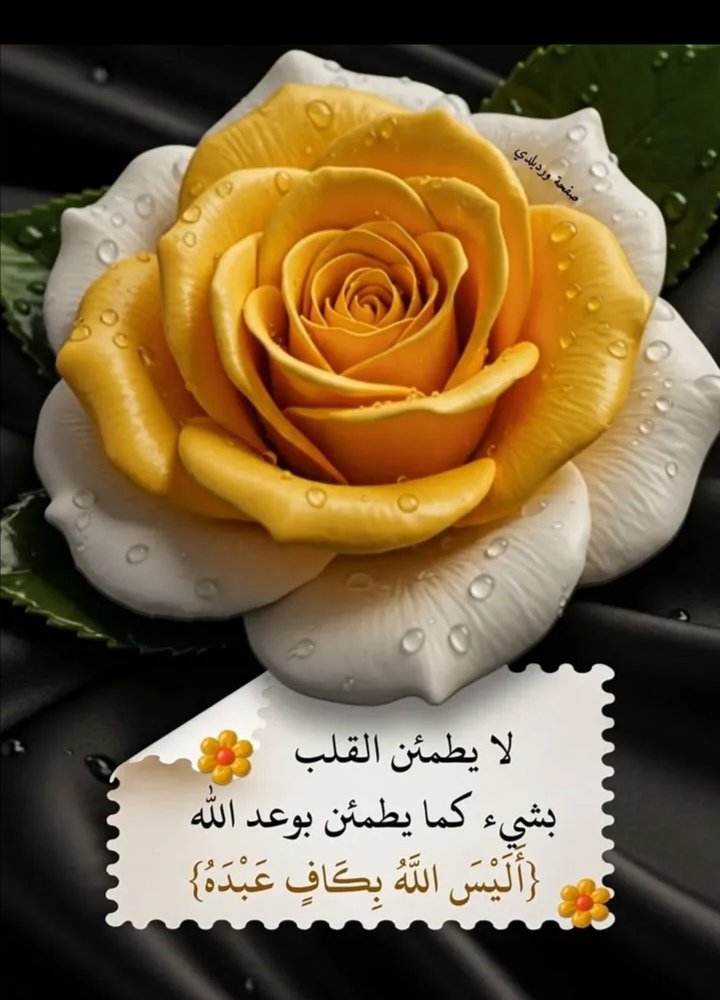 Jassim Aljabal (@jassimaljabal2) on Twitter photo 