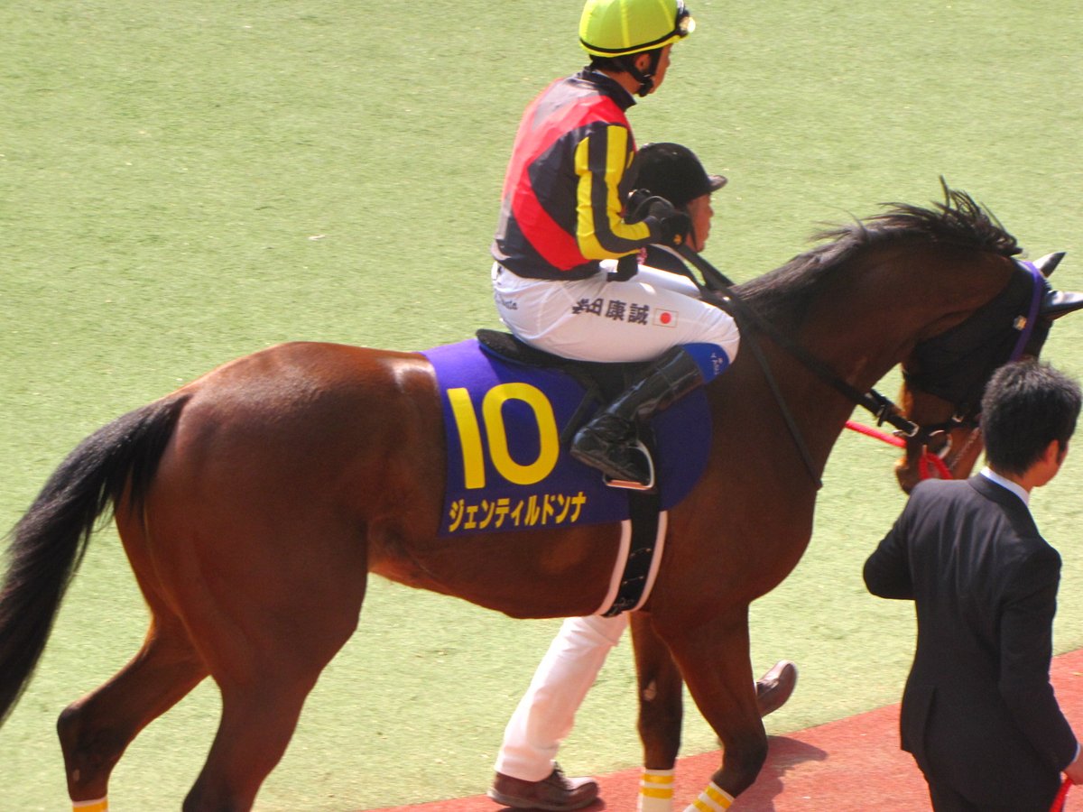 ジェンティルドンナ 2012.4.8 桜花賞 阪神競馬場 ＃合掌
