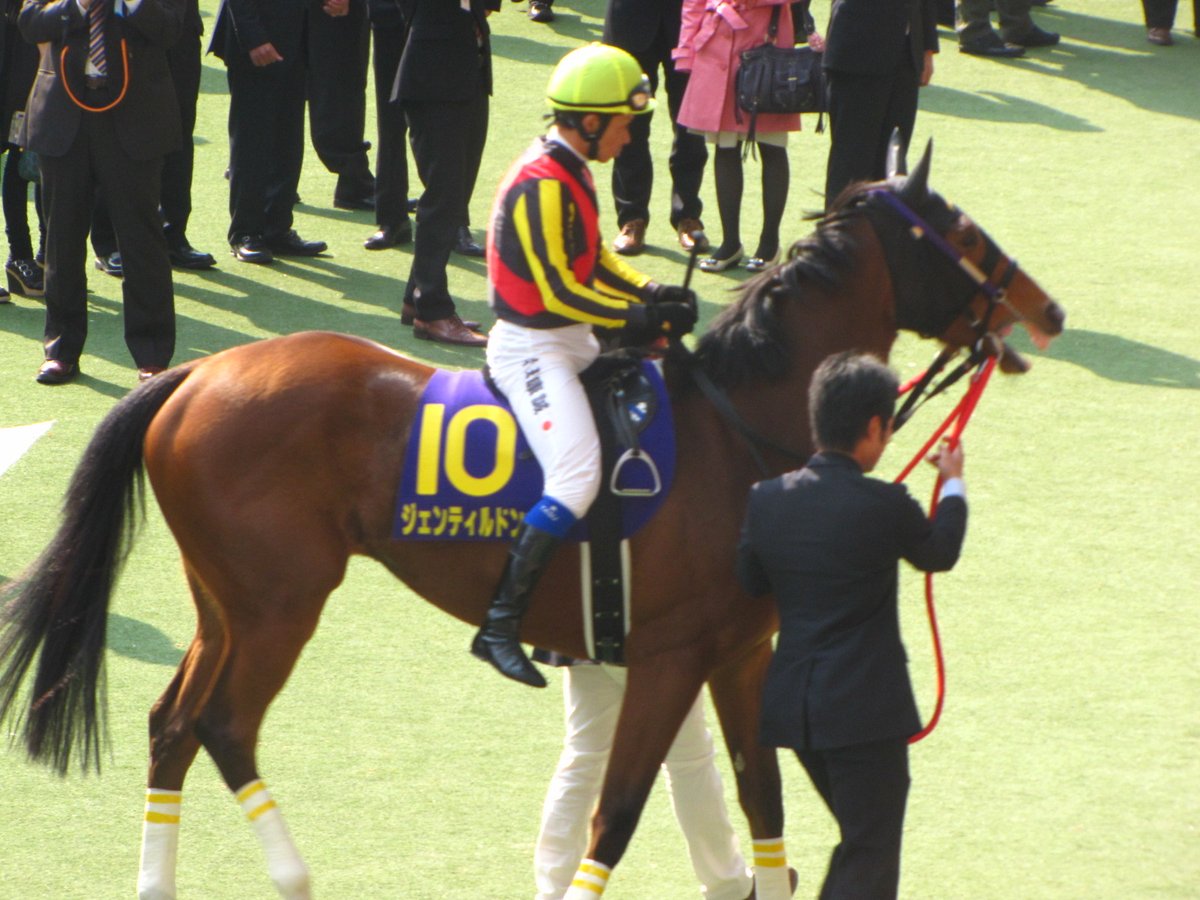 ジェンティルドンナ 2012.4.8 桜花賞 阪神競馬場 ＃合掌