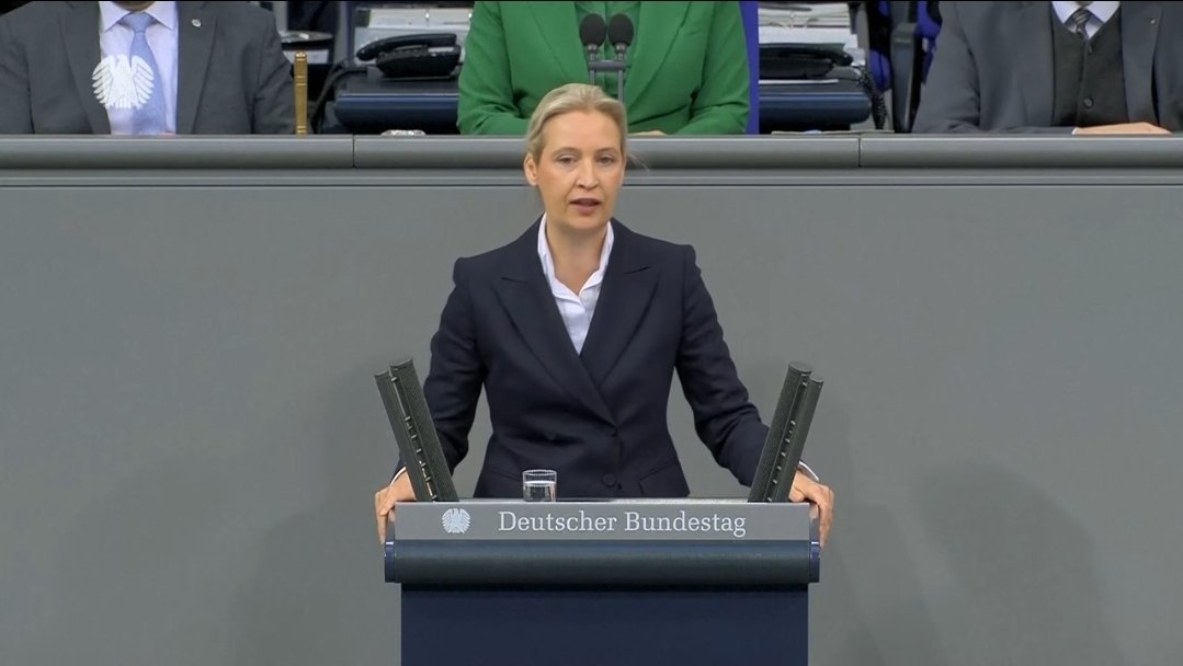 Ich habe mir gerade den 12-Punkte-Plan von Frau Weidel angehört und muss sagen: Das ist der beste Plan, den ich seit langem gehört habe. Um Deutschland noch zu retten, sollte jeder, der nur halbwegs bei Verstand ist, dem zustimmen.