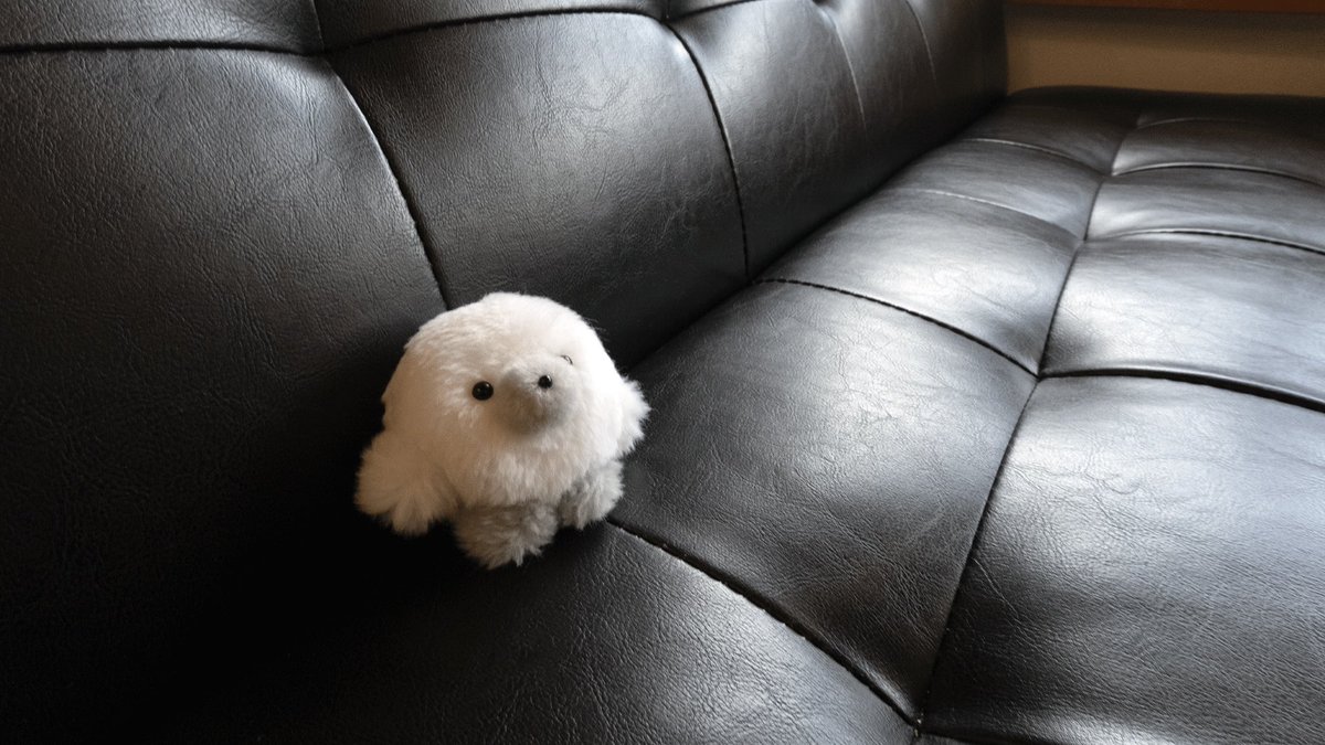 josemaru_model's tweet image. （　どにかこにか　らくしたい　ころ　）