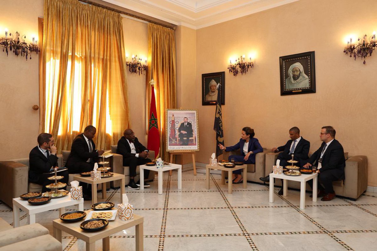 Africa Minerals Strategy Group (AMSG) tweet media